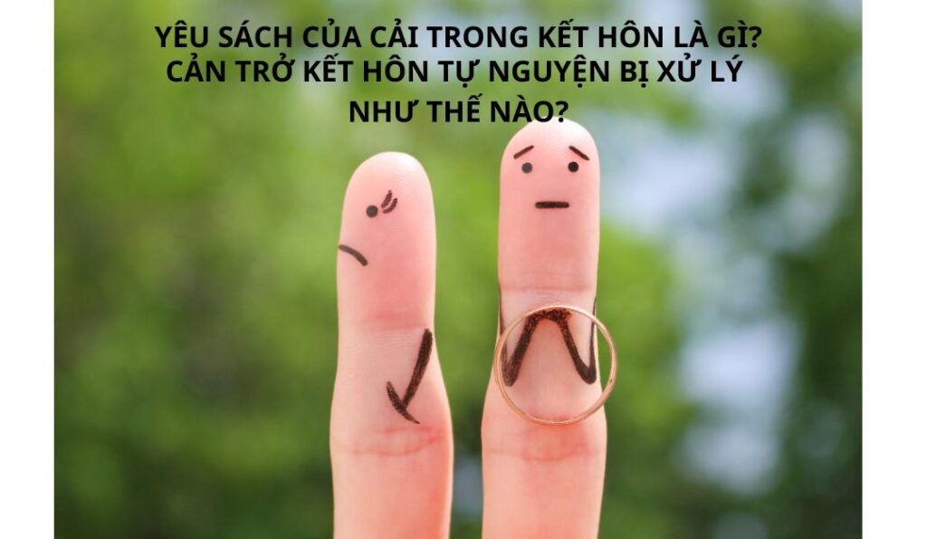 yeu-sach-cua-cai-trong-ket-hon-la-gi-can-tro-ket-hon-tu-nguyen-se-bi-xu-ly-nhu-the-nao