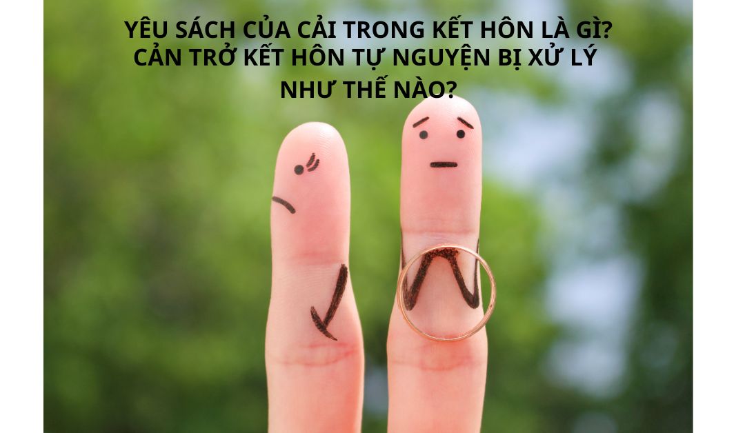 yeu-sach-cua-cai-trong-ket-hon-la-gi-can-tro-ket-hon-tu-nguyen-se-bi-xu-ly-nhu-the-nao