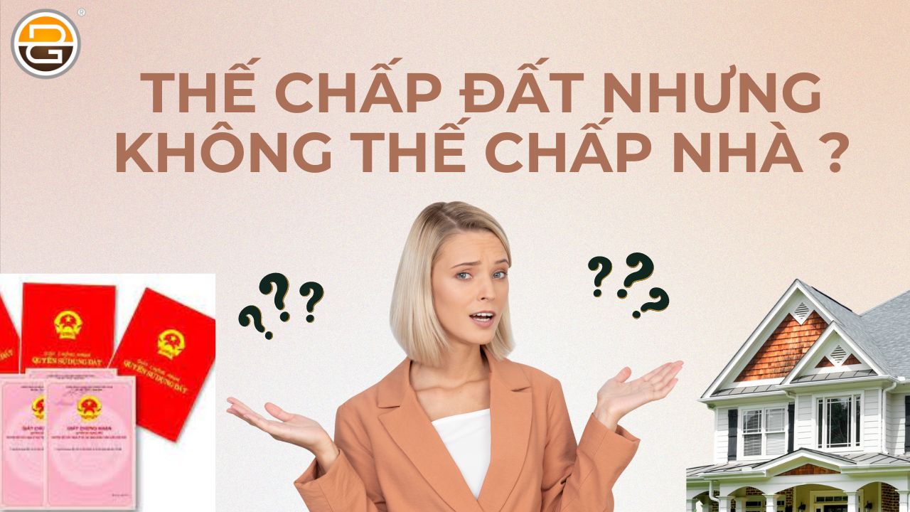 the-chap-dat-nhung-khong-the-chap-nha-co-duoc-khong