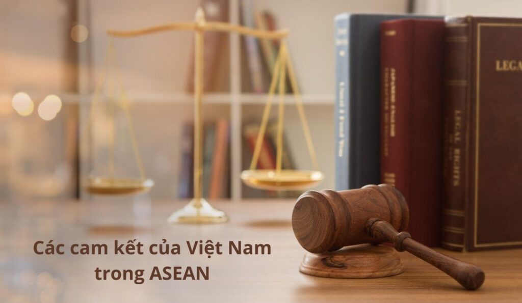 Cac-cam-ket-cua-Viet-Nam-trong-ASEAN