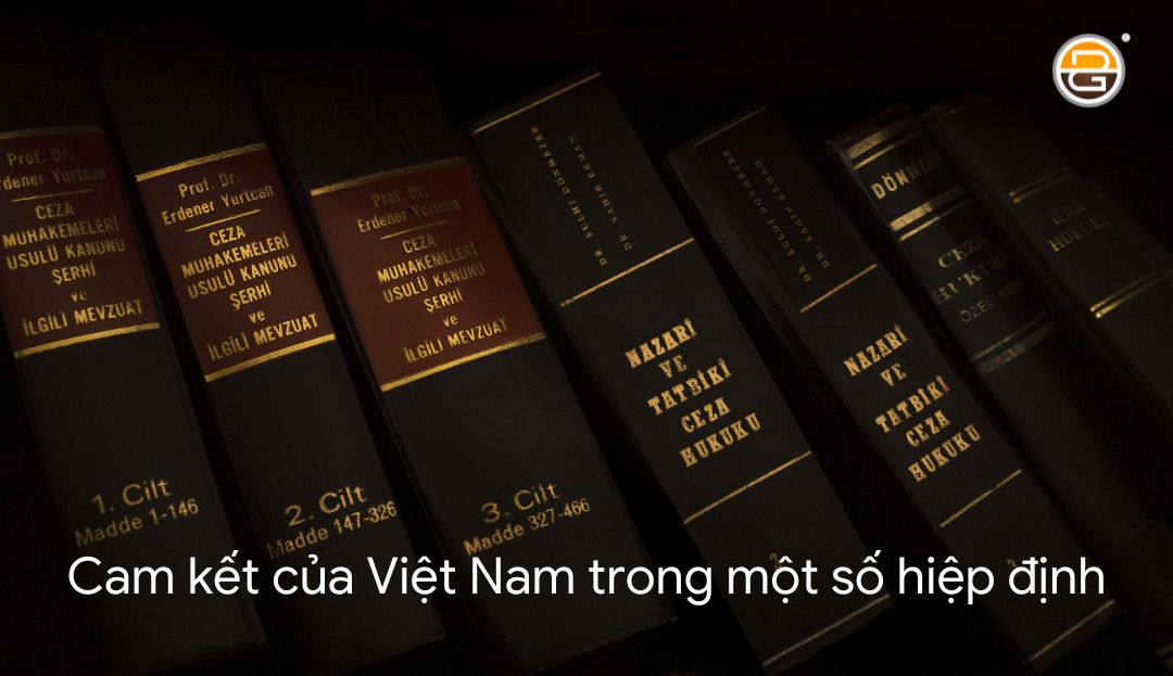 Cam-ket-cua-Viet-Nam-trong-mot-so-hiep-dinh