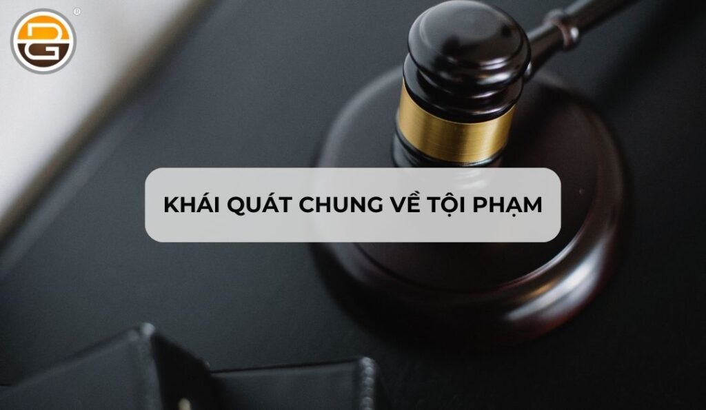 khai-quat-chung-ve-toi-pham