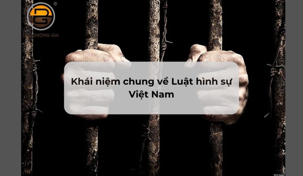 khai-niem-chung-ve-luat-hinh-su-viet-nam