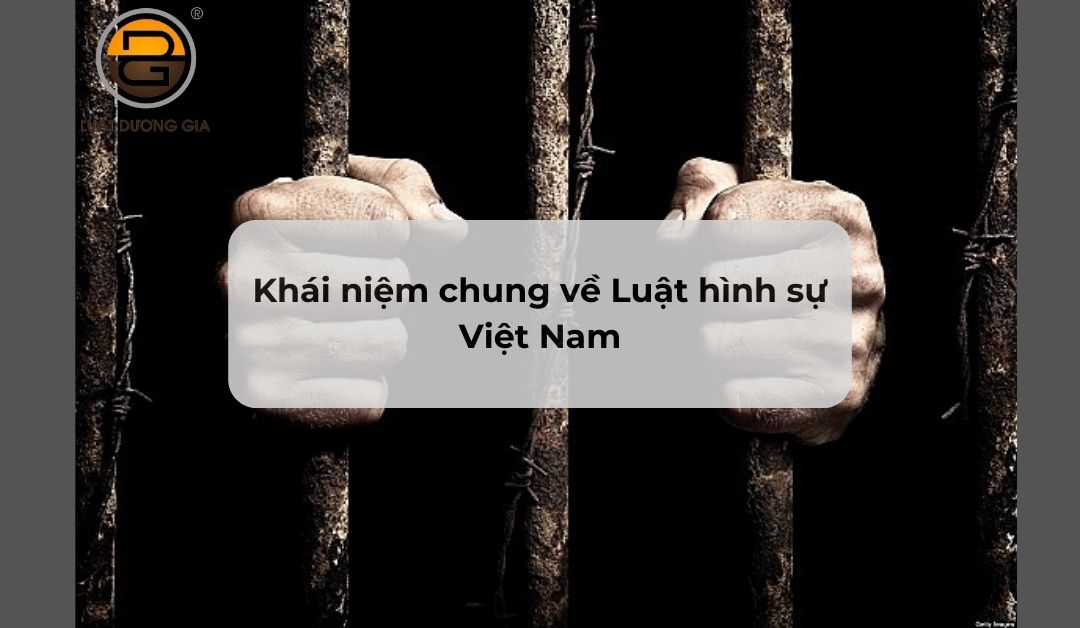 khai-niem-chung-ve-luat-hinh-su-viet-nam