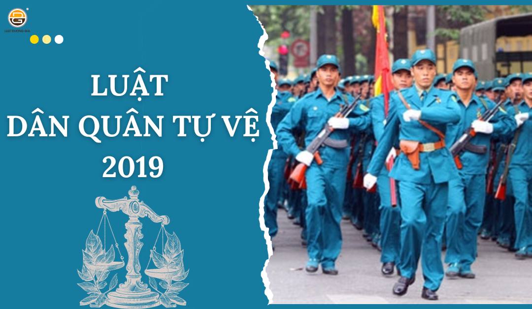 luat-dan-quan-tu-ve-2019