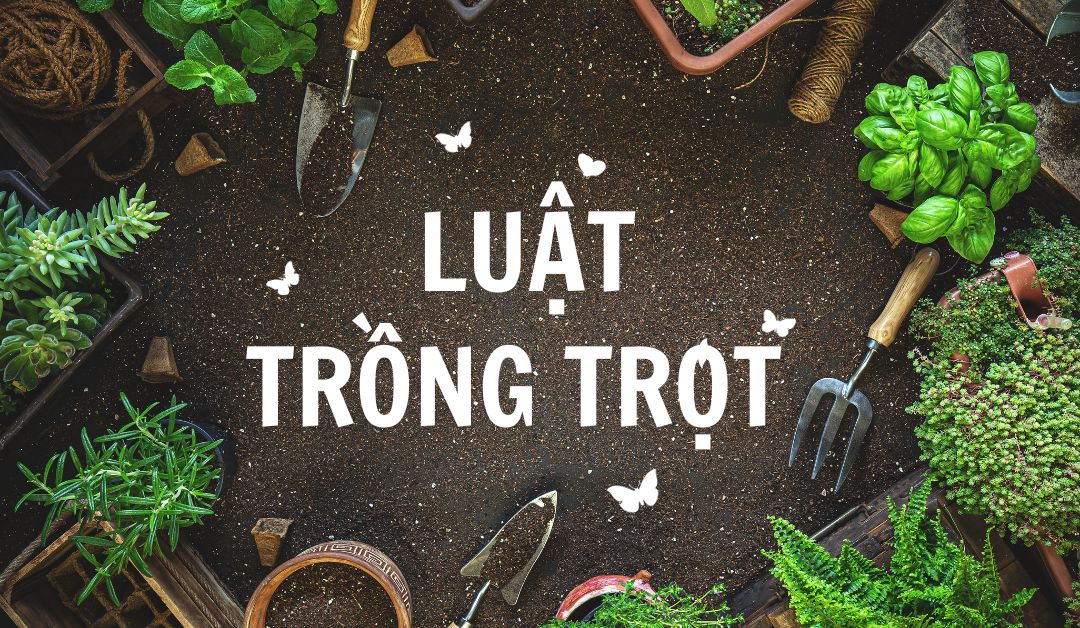 luat-trong-trot-nam-2018