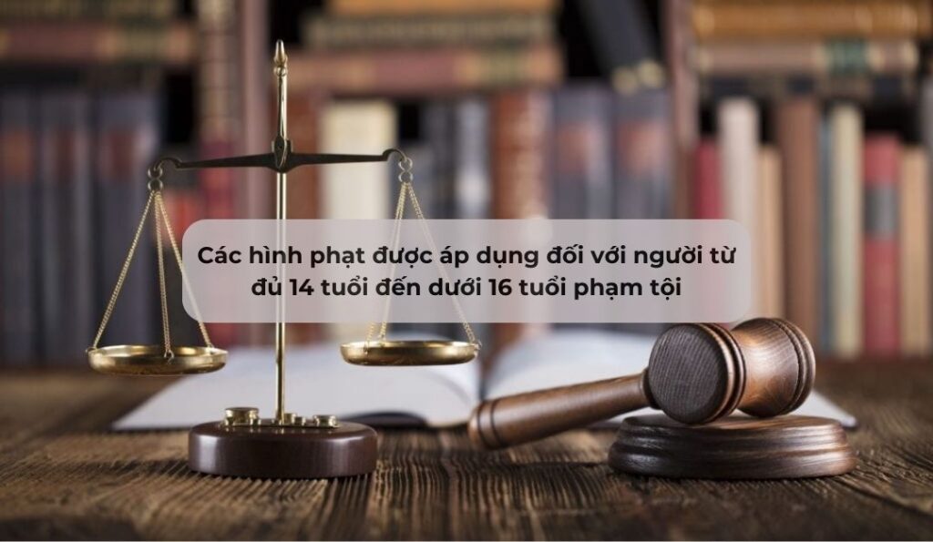 cac-hinh-phat-duoc-ap-dung-doi-voi-nguoi-tu-du-14-tuoi-den-duoi-16-tuoi-pham-toi