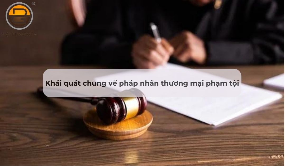 khai-quat-chung-ve-phap-nhan-thuong-mai-pham-toi