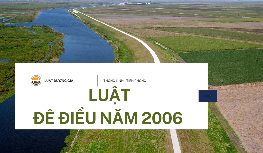 luat-de-dieu-2006