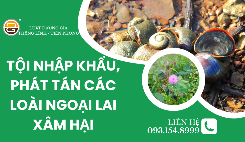 https://danang.luatduonggia.vn/hinh-su/toi-nhap-khau-ph…goai-lai-xam-hai.html