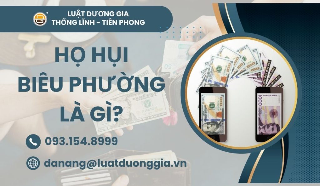 ho-hui-bieu-phuong-la-gi